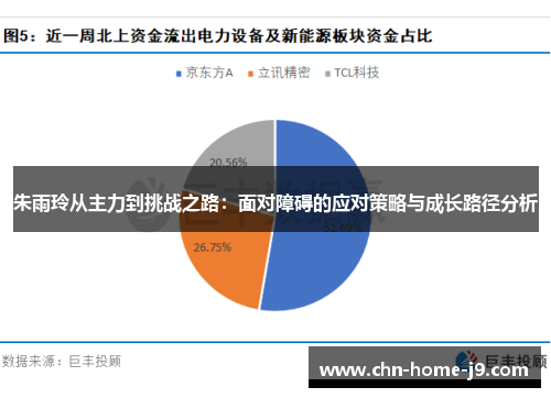 朱雨玲从主力到挑战之路：面对障碍的应对策略与成长路径分析