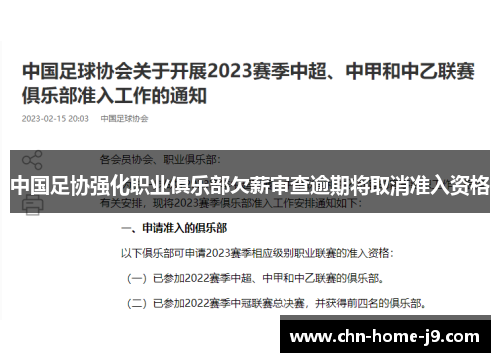 中国足协强化职业俱乐部欠薪审查逾期将取消准入资格