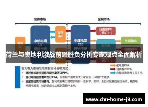 荷兰与奥地利激战前瞻胜负分析专家观点全面解析 荷兰与奥地利激战前瞻胜负分析专家观点全面解析