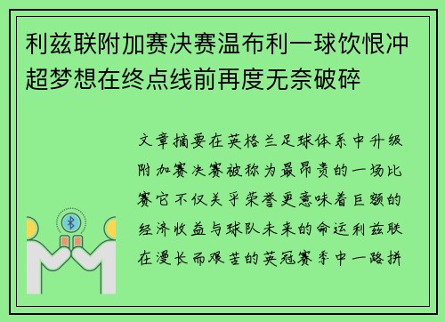 利兹联附加赛决赛温布利一球饮恨冲超梦想在终点线前再度无奈破碎 利兹联附加赛决赛温布利一球饮恨冲超梦想在终点线前再度无奈破碎